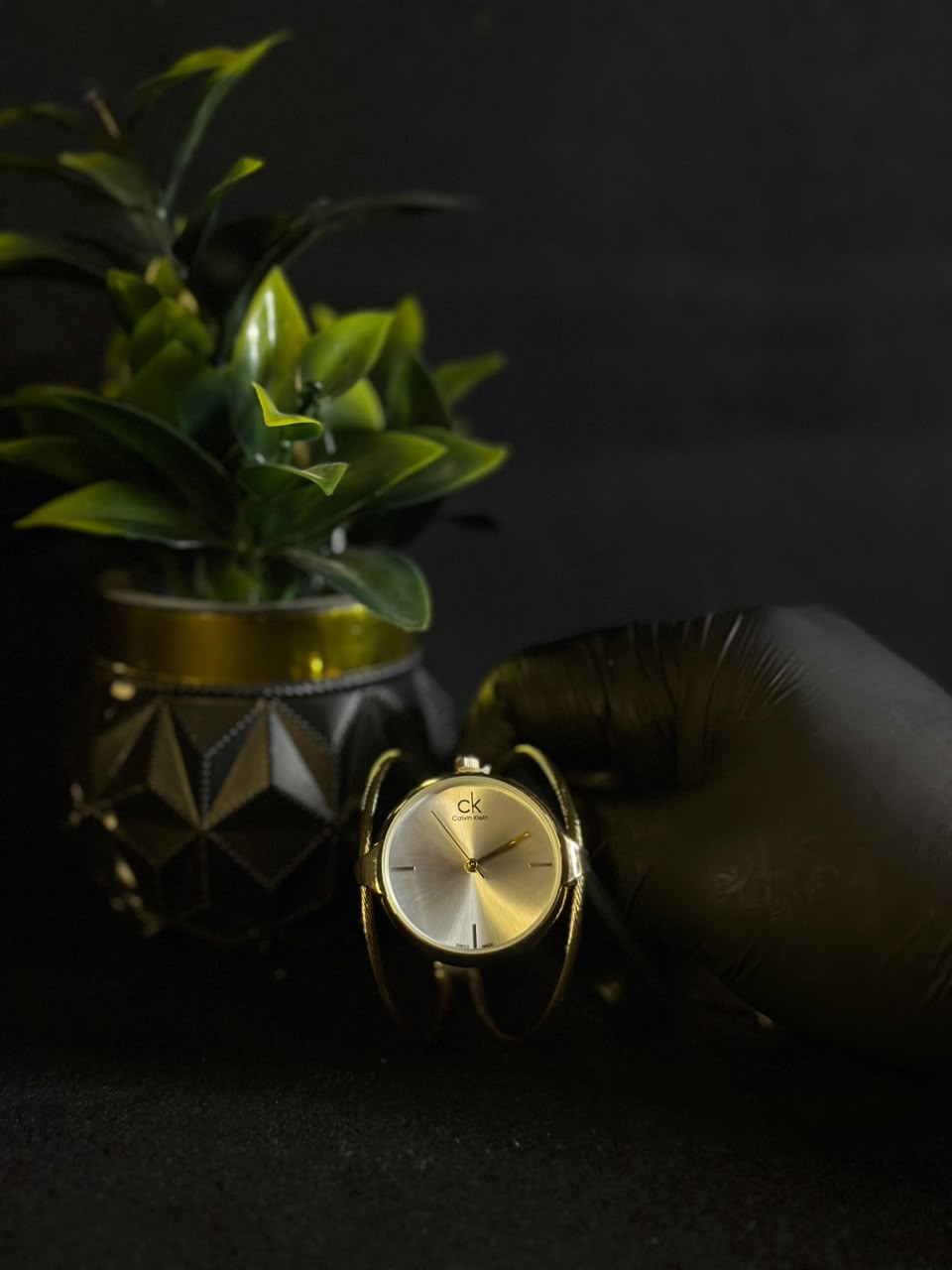 Elegant Gold Bangle Watch for Women