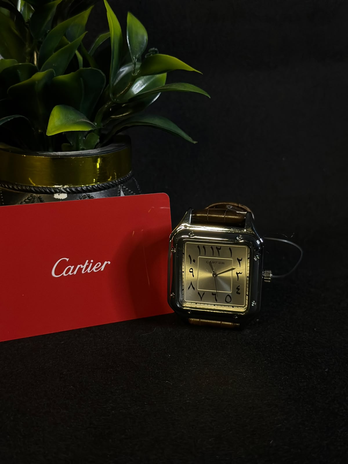 Cartier Premium Watch